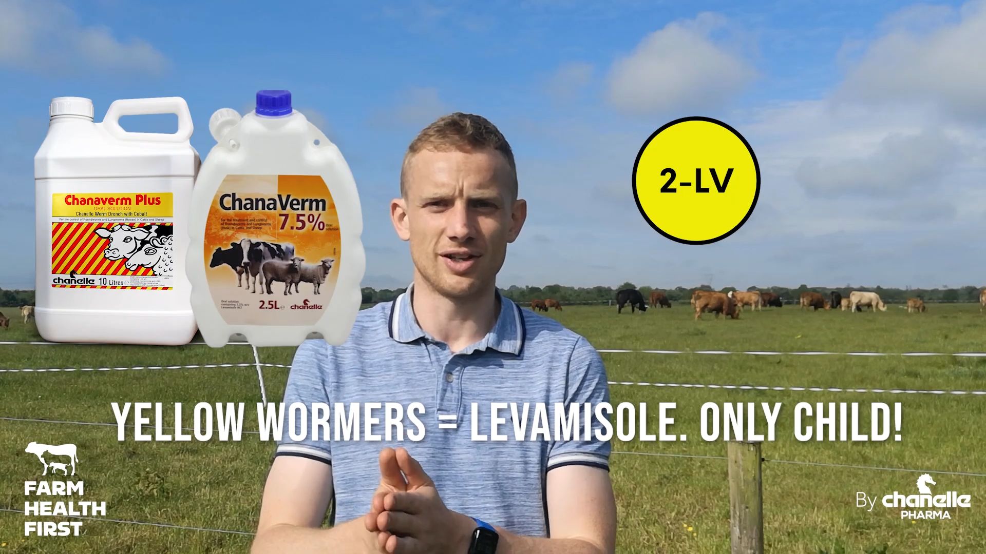 Wormer Classes for Cattle and Sheep Understanding the Basics Weekly